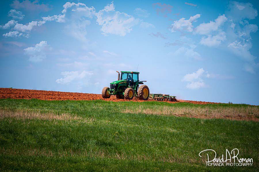 Spring on the farm